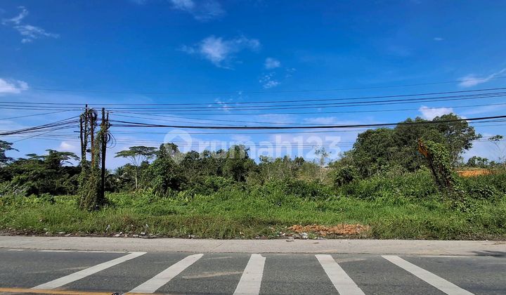 Land on the Main Road at Kilometer 15