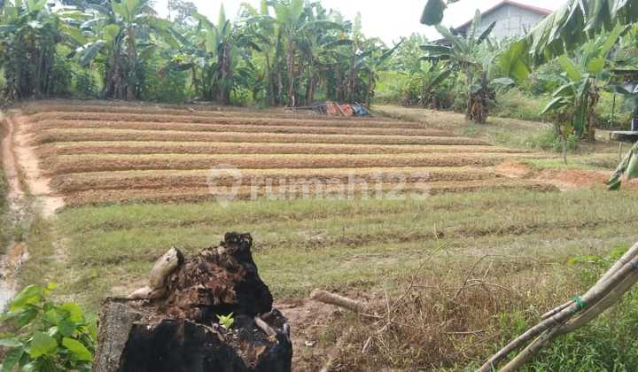 Land Along Lamaru Road