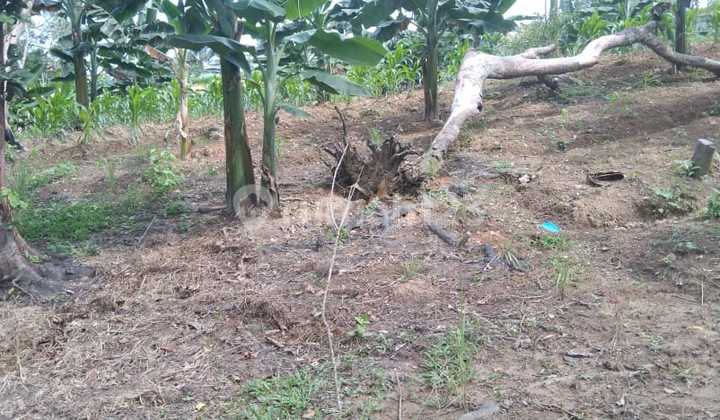 Land Along Lamaru Road