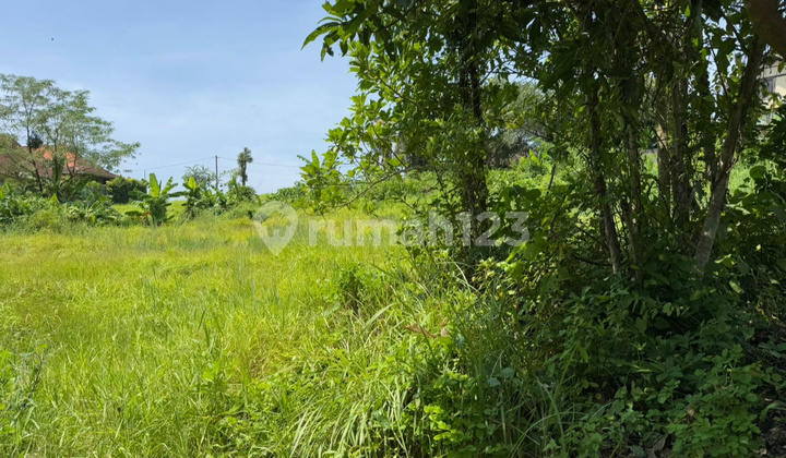 Leasehold For Rent Land Near Nyanyi Beach and Luna Beach Club
