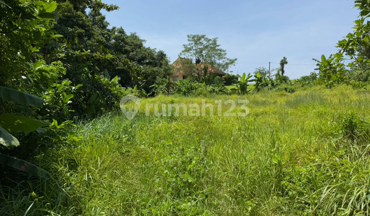 Leasehold For Rent Land Near Nyanyi Beach and Luna Beach Club