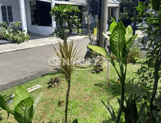 Rumah Siap Huni Mutiara Sentul Bogor 2