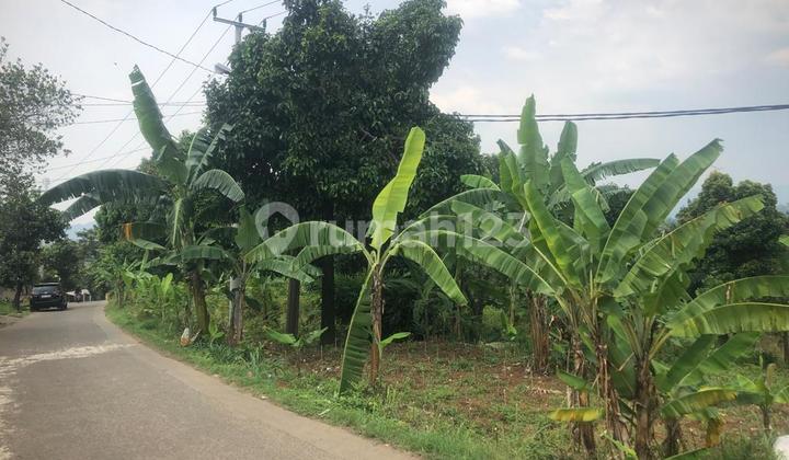 Tanah Cocok Untuk Investasi di Citereup Akses 2 Mobil
