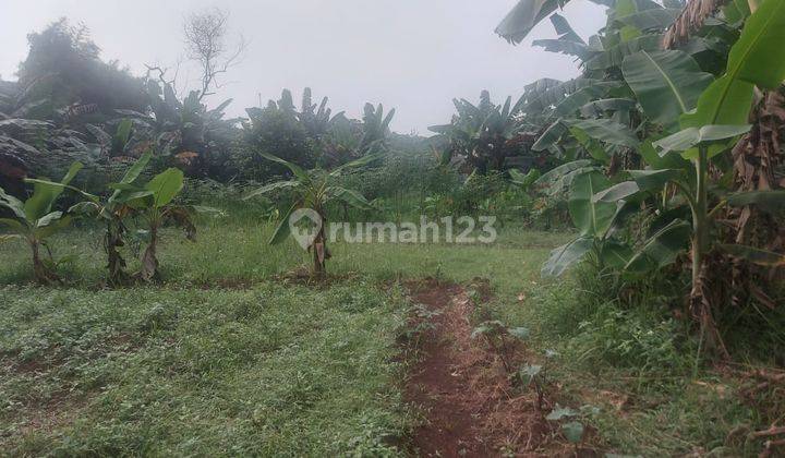 Tanah SHM Lokasi Strategis di Karanggan, Gunung Putri, Bogor 2