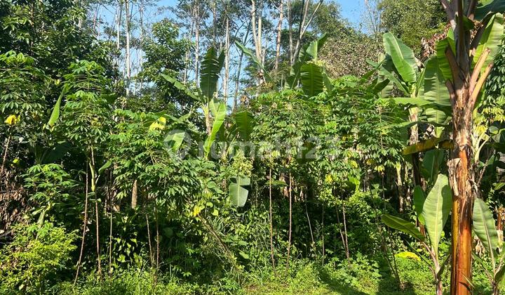 Tanah Di Cigadung Shm 1160 M² Cocok Untuk Rumah2 Kecil