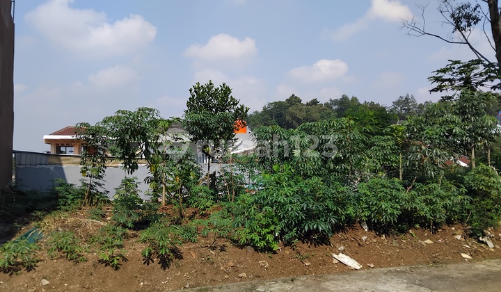 Tanah Kavling P T P N Di Kawasan Tenang Dan Asri Kota Bandung Tanah Kavling P T P N Di Kawasan Tenang Dan Asri Kota Bandung