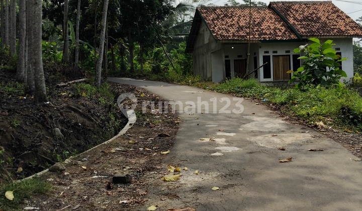 Tanah Hutan Jati 60.000m2 Shm Di Sukabumi Bantargadung  2