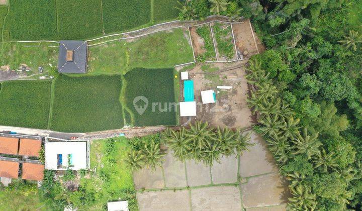  Tanah di Ubud Petulu 5km dari Ubud Center 1