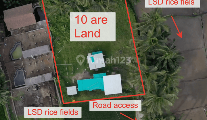 Unique land in Petulu for rent 5 km from Ubud Palace (beautiful protected view) with private road access 2