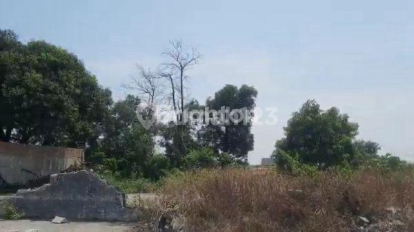 Tanah Strategis Pinggir Jalan Utama Semarang Di Bawah Njop 2