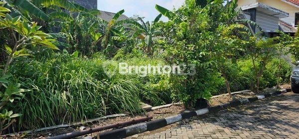 GAK SAMPAI 1M!!! DAPAT TANAH LOKASI ELITE TAMAN MAJAPAHIT PEDURUNGAN SEMARANG  2