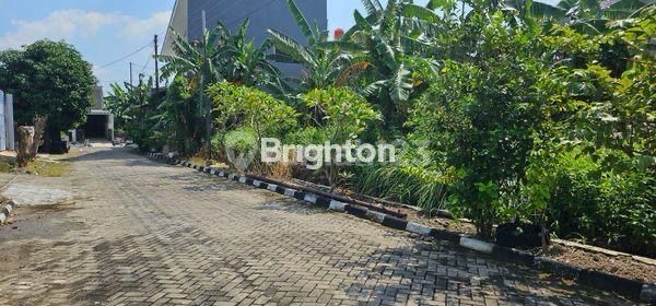 GAK SAMPAI 1M!!! DAPAT TANAH LOKASI ELITE TAMAN MAJAPAHIT PEDURUNGAN SEMARANG  1