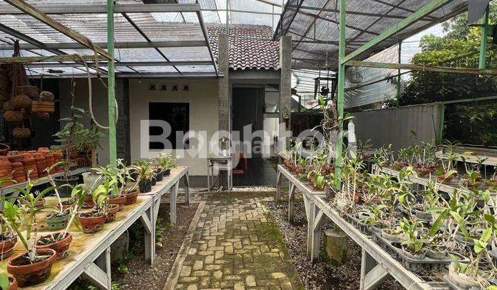 WOW! TANAH BANGUNAN KEBUN ANGGREK KOST PALEBON SEMARANG  1