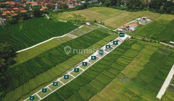 Villa SHM 1 Kamar Tidur dekat Pantai Seseh, Bali 2