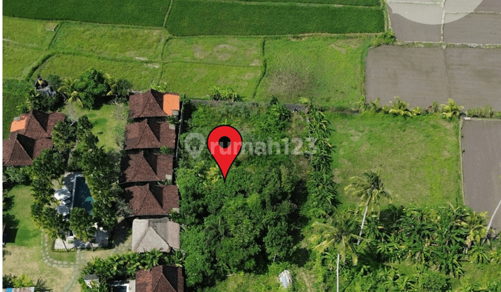 FOR SALE LEASEHOLD LAND AT LODTUNDUH - UBUD ! 2