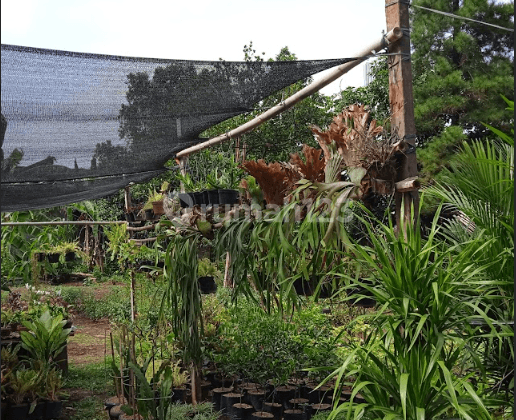 Tanah Di Adiaksa Raya - Tanah Dijual Lebak Bulus
jakarta Selatan 2