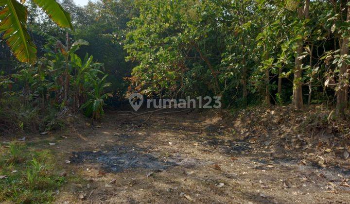 Di Jual Tanah Pekarangan dalam Perumahan Bantul 2