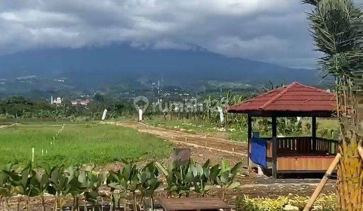 JUAL TANAH SHM KAVLING VILLA EKSKLUSIF THE PANGRANGO HILLS  2