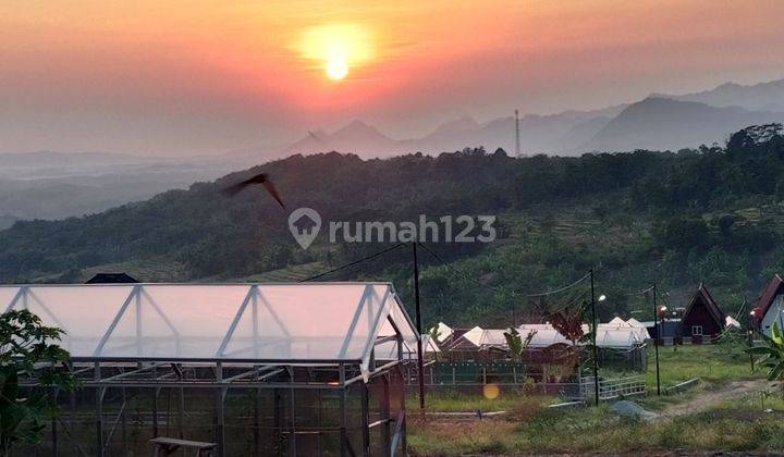 Dijual Tanah Murah Kavling Wisata Kebun Anggur  1