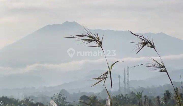 TANAH SHM KAVLING VILLA EKSKLUSIF FASILITAS PREMIUM BOGOR  1