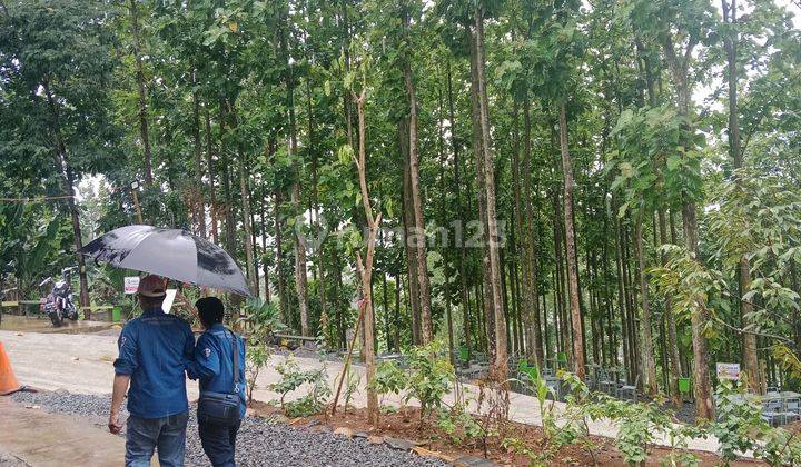 Dijual Tanah Kavling Wisata Eksklusif Bogor Untuk Investasi  2