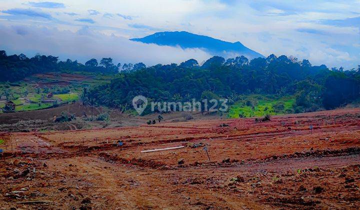 Tanah Murah Dijual 100 are Lokasi Nempel Pinggir Jalan Kabupaten  2