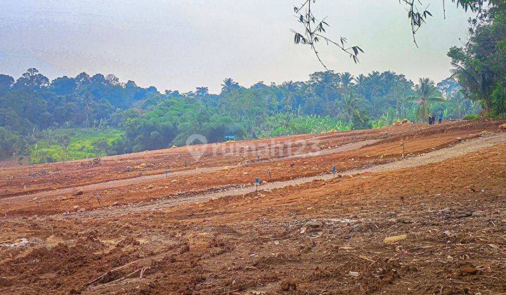 Tanah Murah Dijual 100 are Lokasi Nempel Jalan Kabupaten  1