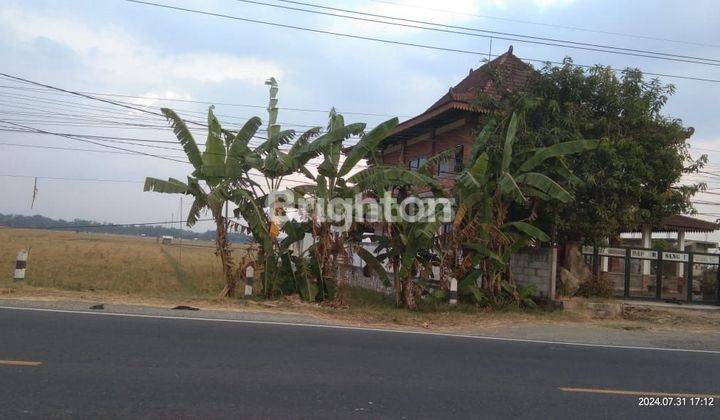 Tanah Sawah dipinggir jalan Raya Besar strategis  NGAWI Harga 65 juta /are 2