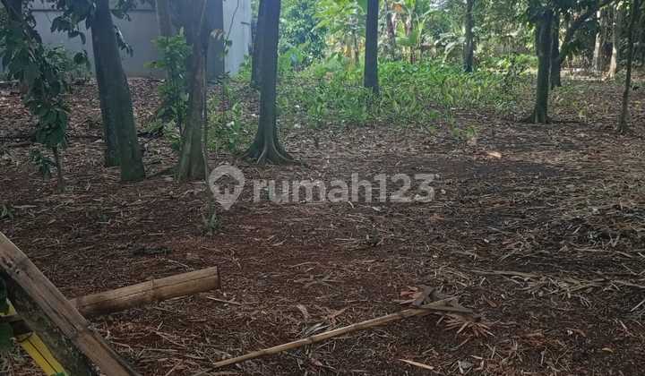 Land Plot in Cileungsi Bogor Strategic Negotiable Land Plot in Cileungsi Bogor Strategic Negotiable