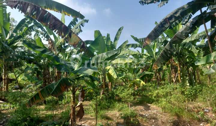 Jual Tanah, Lokasi Pinggir Jalan, Jalan 2 Arah, Zona Kuning