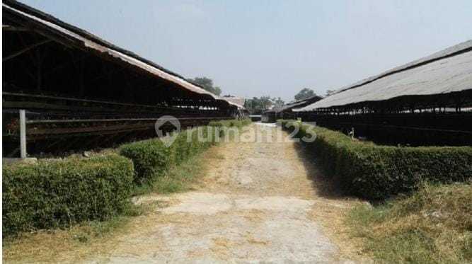 Cheap Sale 5.6 Hectares of Land in Cimuning Area, Bekasi Cheap Sale 5.6 Hectares of Land in Cimuning Area, Bekasi