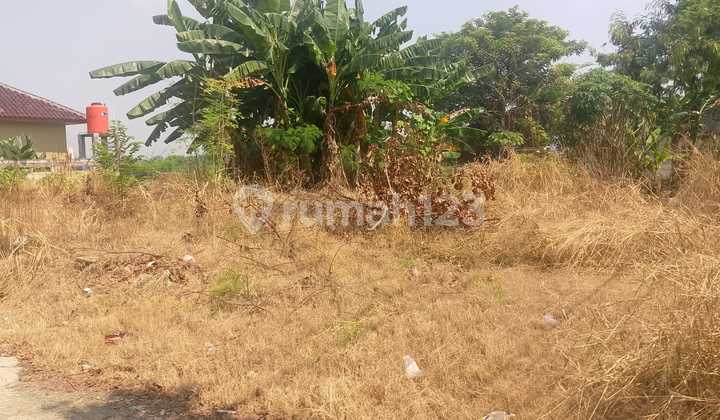 Dijual tanah/kavling di Rorotan Kecamatan Cilincing Jakarta Utara