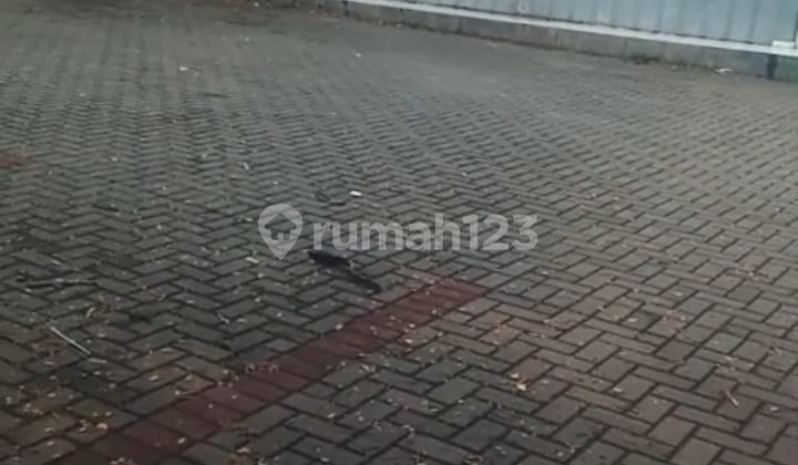 Disewakan gudang Lokasi JGC cocok untuk stok makanan