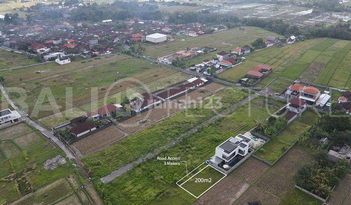 Stunning 200m2 Of Land In Kedungu With Ricefield Views 2