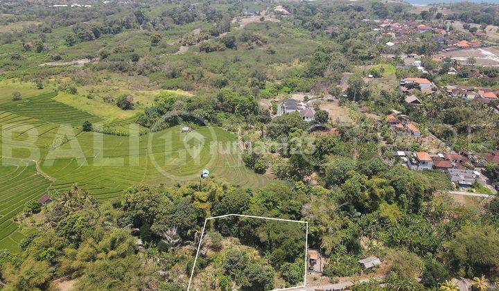 1695m2 Stunning Land With River View In Beraban Tanah Lot 1