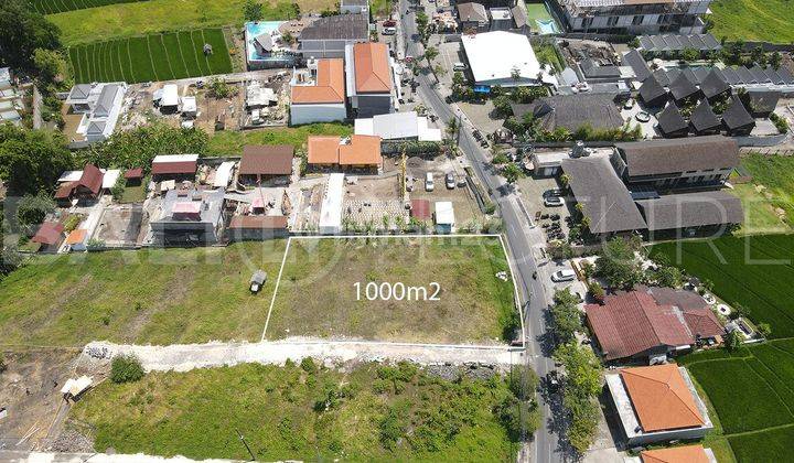 1000m2 Land For Sale In Canggu 1