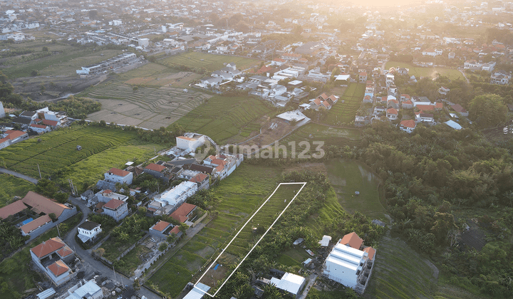 1200m² Expansive Plot in Prime Berawa With Rice Field and River Views 1