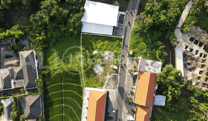 1000m2 Amazing Strategic Land With Ricefield View In Prime Area Berawa 2