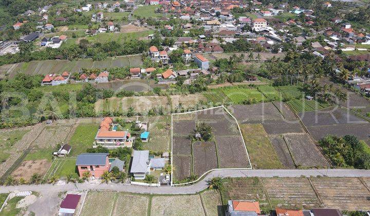 2300m2 of Land For Sale in Near Prime Area Ubud 2