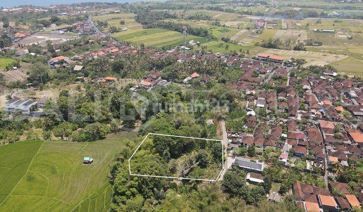 1695m2 Stunning Land With River View In Beraban Tanah Lot 2