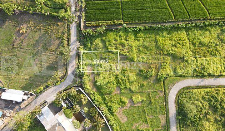 Stunning Plot Of Freehold Land In Kedungu Beach 386m2  2