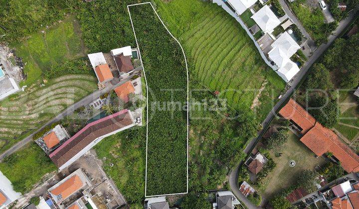 1750m2 of Prime Land in Canggu 2