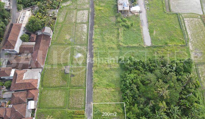 200m2 Of Land For Sale In Kedungu With Ricefield Views 2