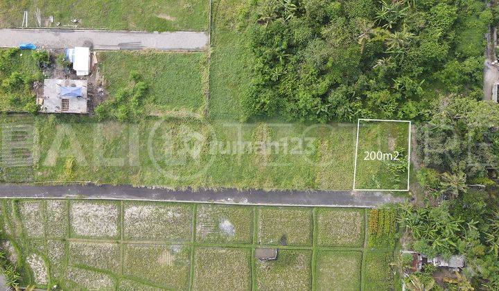 200m2 Of Land For Sale In Kedungu With Ricefield Views 2