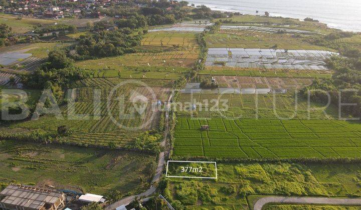 Amazing Plot Of Freehold Land In Kedungu Beach 377m2  2