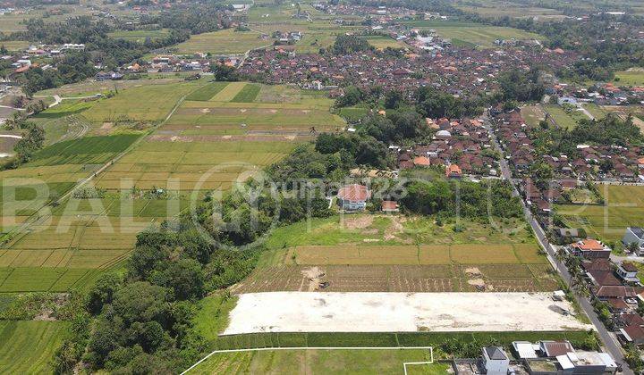 1100m2 Stunning Land With Ricefield View In Kedungu 1