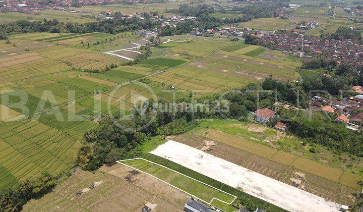 1100m2 Stunning Land With Ricefield View In Kedungu 2