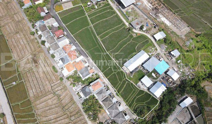 2500m2 Stunning Land With Ricefieldview In Buduk 1