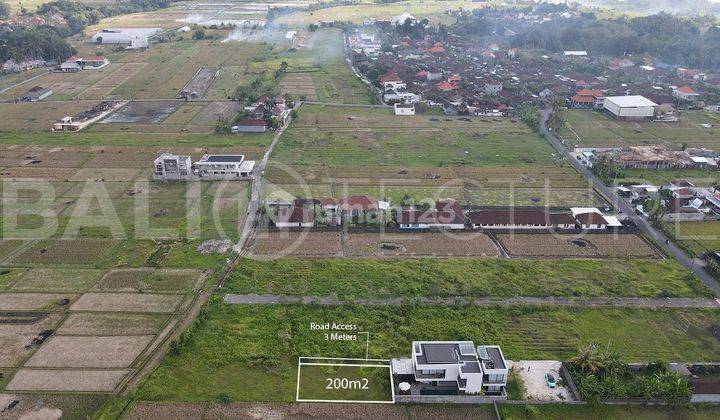 Stunning 200m2 Of Land In Kedungu With Ricefield Views 1