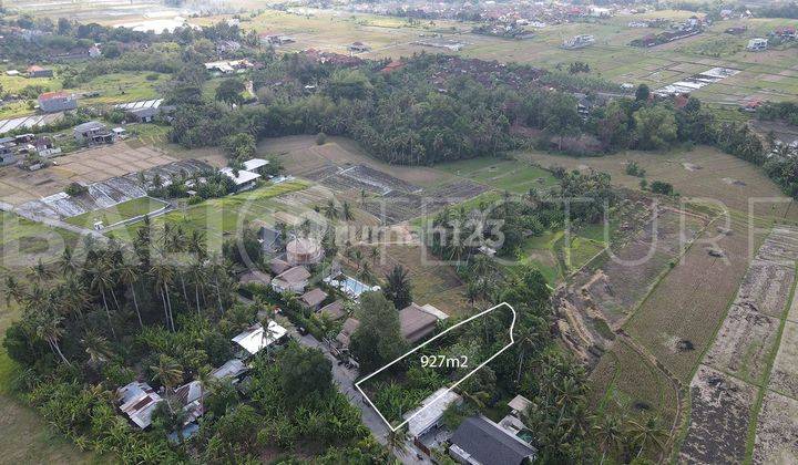 Stunning 927m2 Of Land In Kedungu With River Views 2